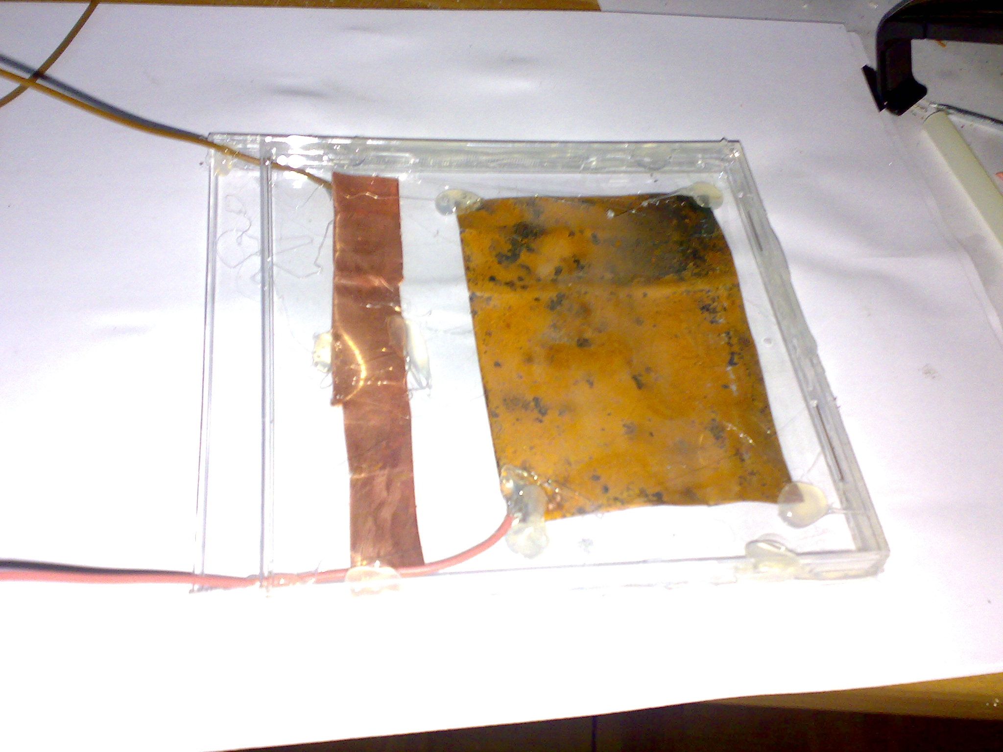 cella4.jpg