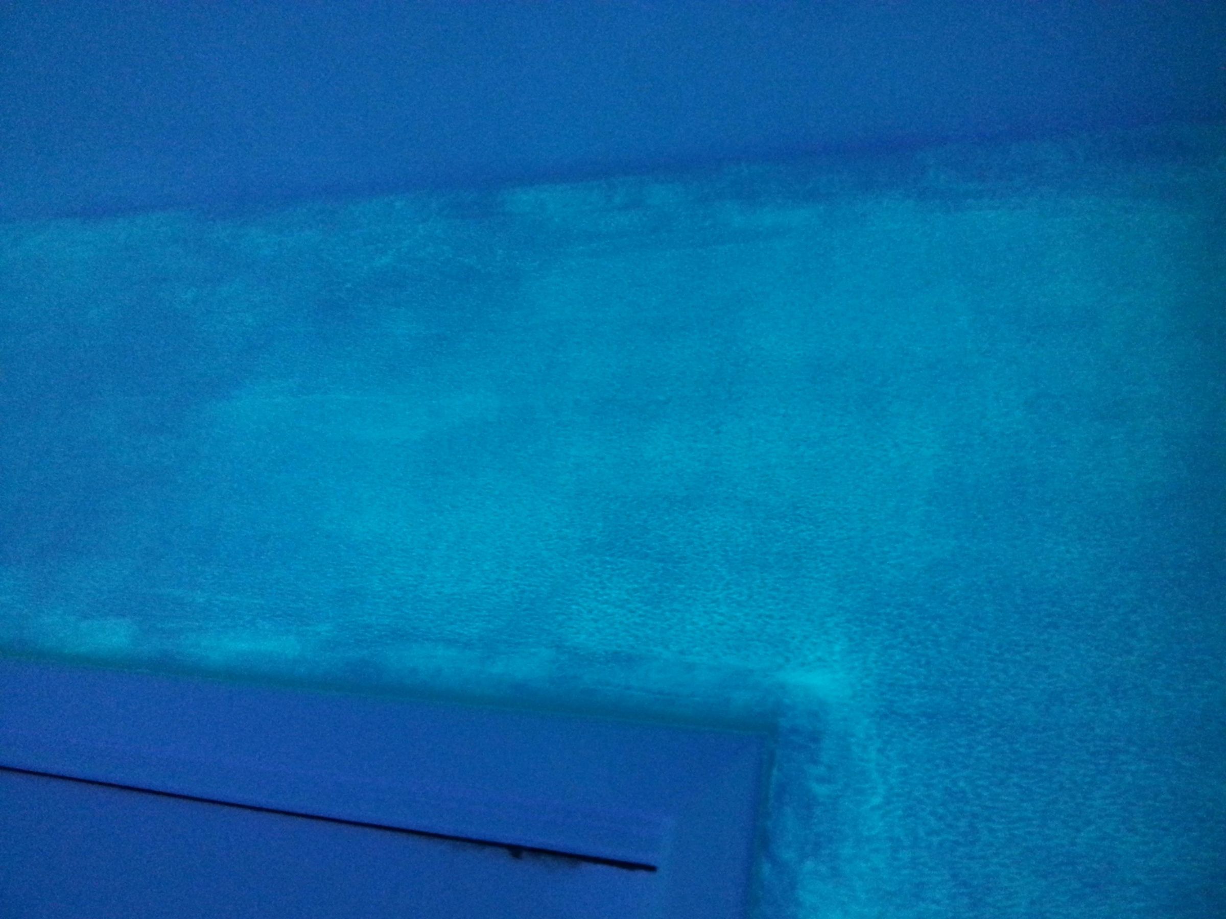 close up.jpg