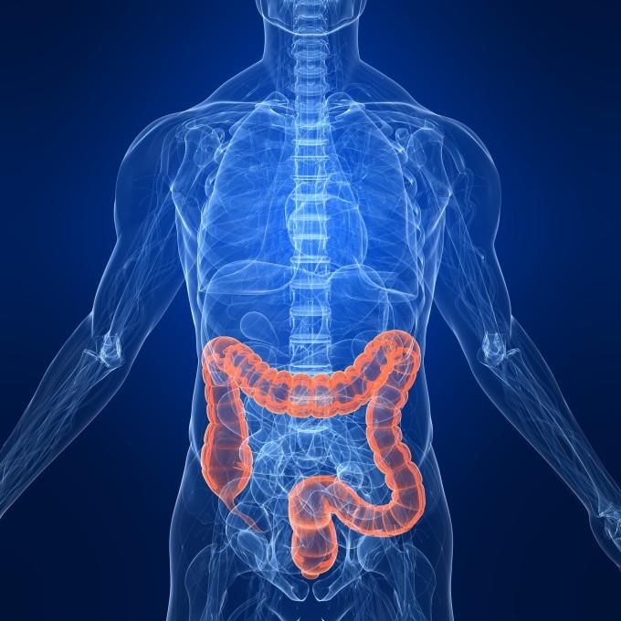 colon.jpg