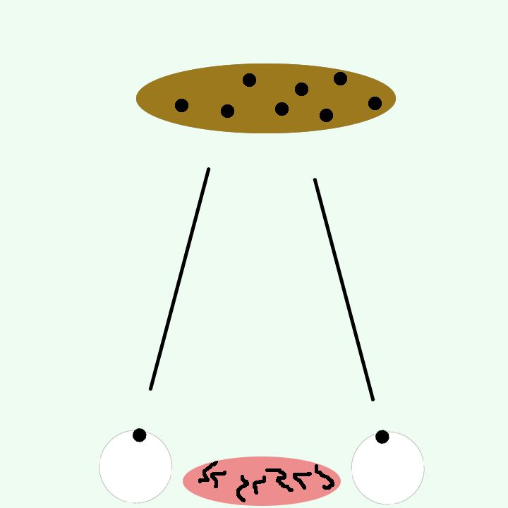 cookie monsters brain-eye connection.jpg