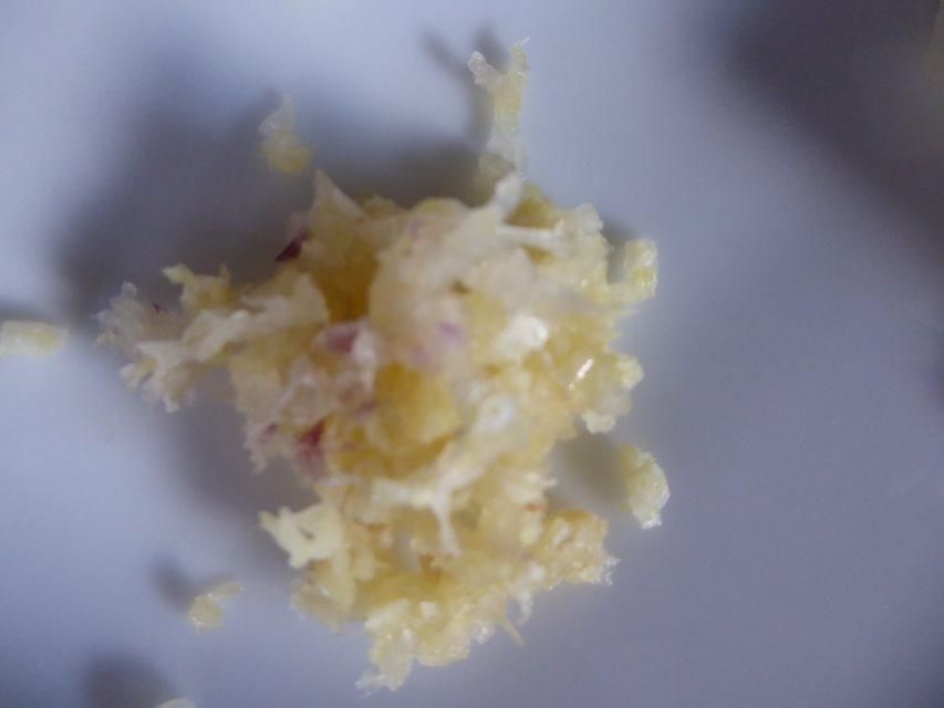 crushed garlic.JPG