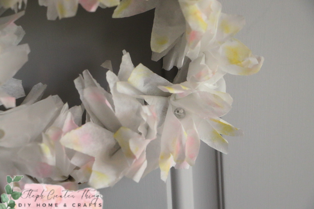 daisies.png
