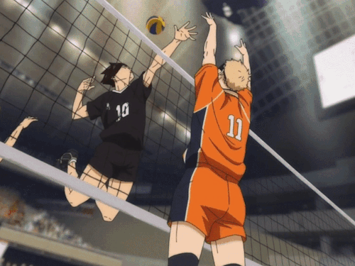 djvkfbqzkck71.gif