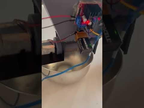 dog feeder working