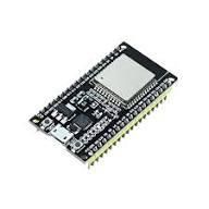 esp 32.jpg