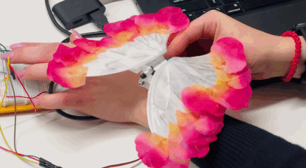 ezgif.com-resize.gif