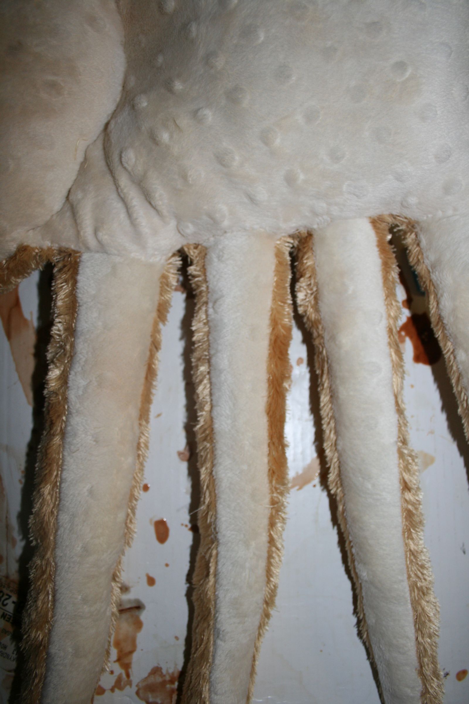 facehugger 068.jpg
