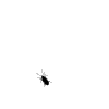 fblvn.gif