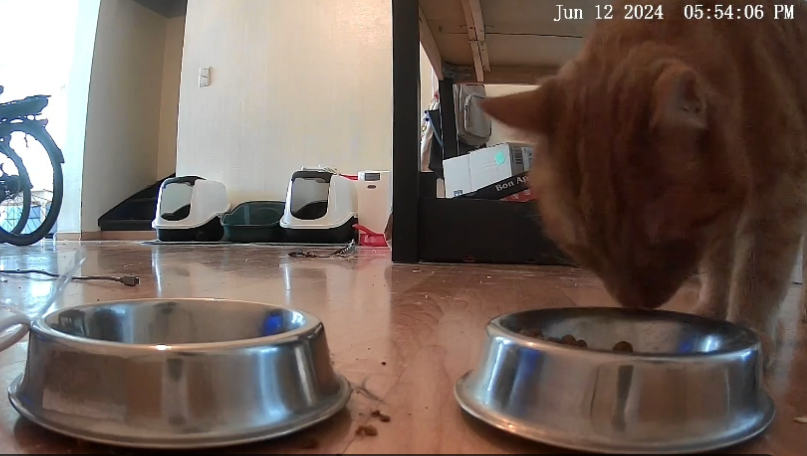 feeding_area.png