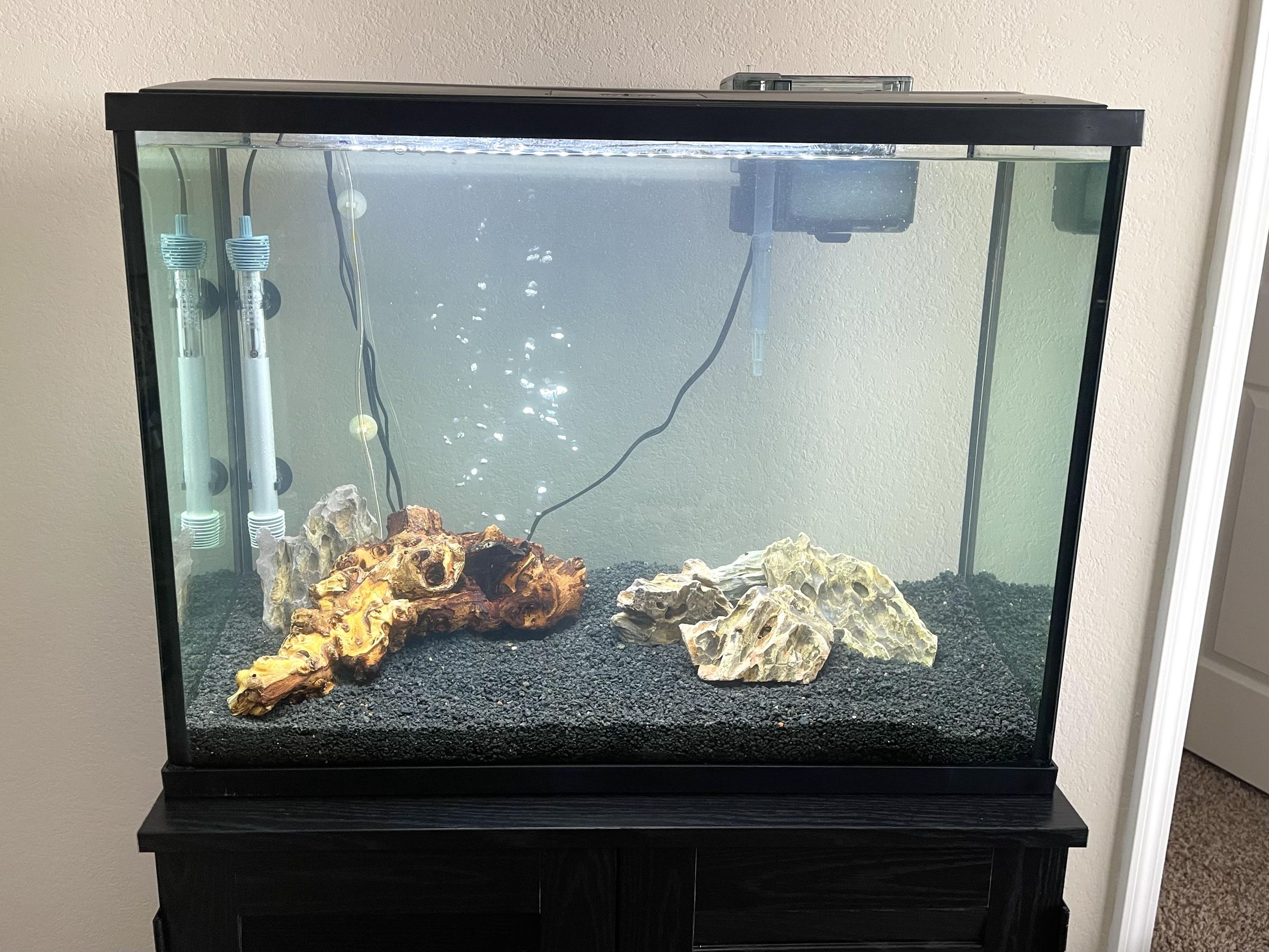 fish tank_30.jpg