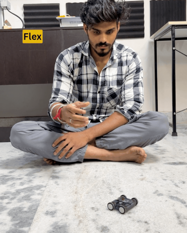 flex.gif