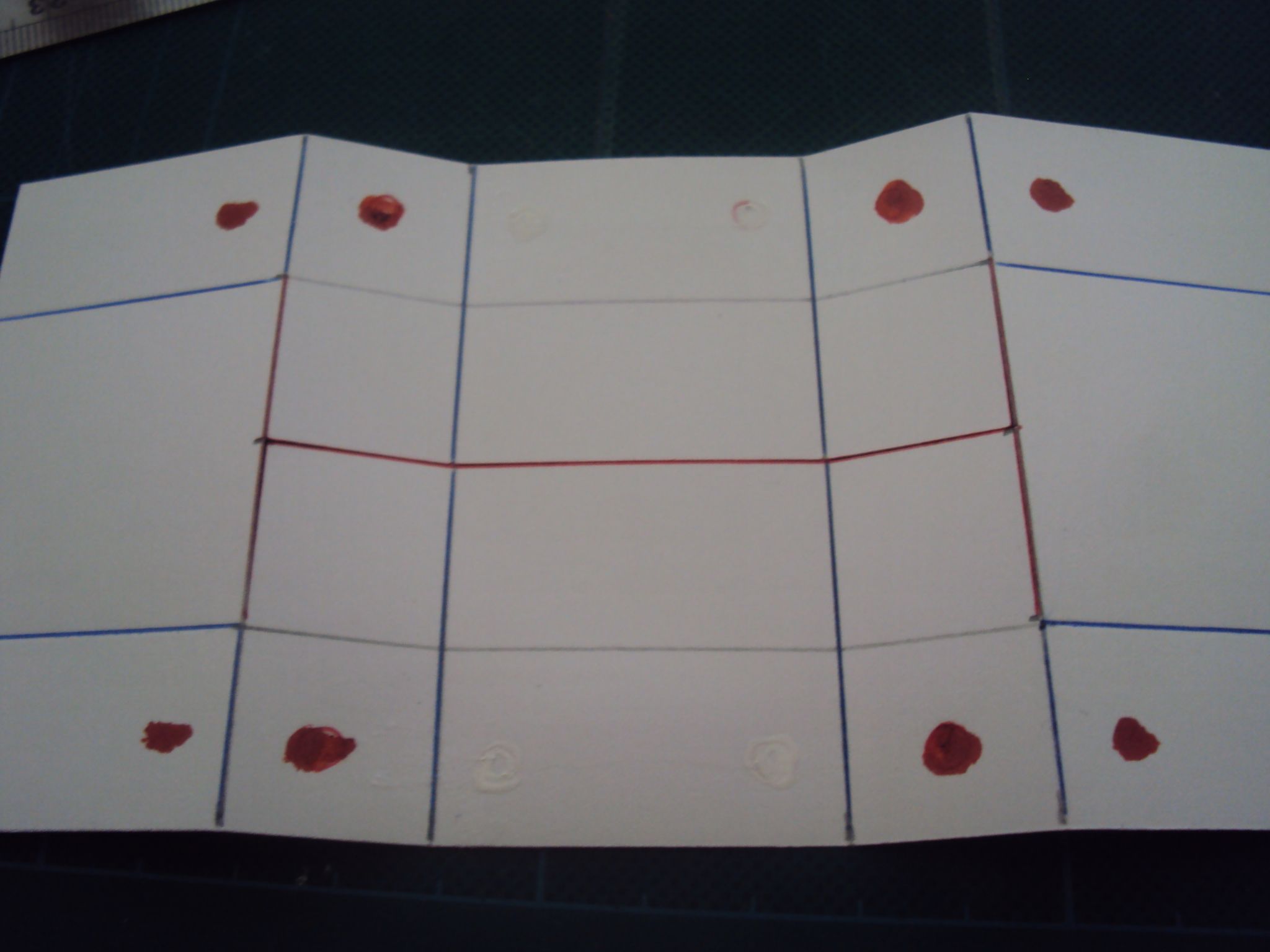 flexicard (21).JPG