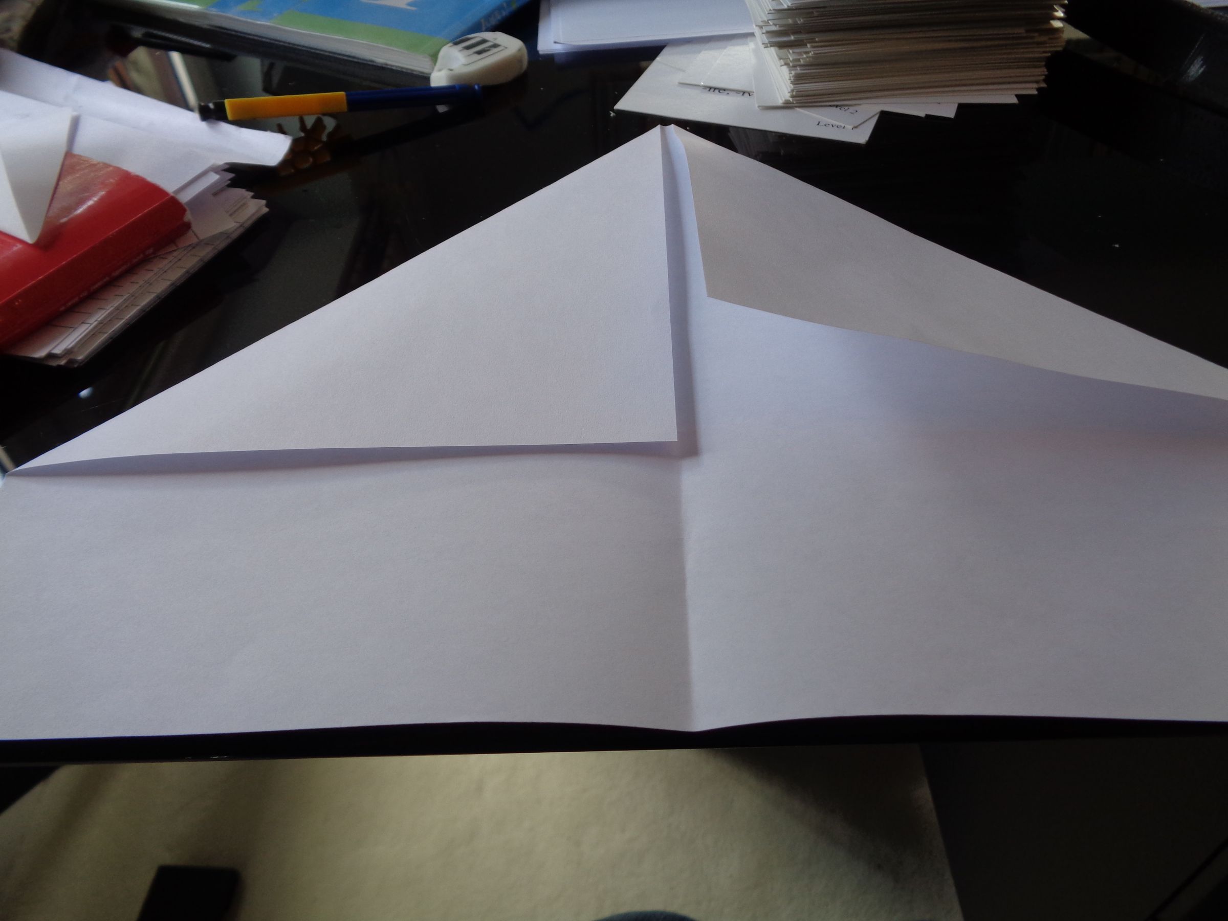 floating paper plane (6).JPG