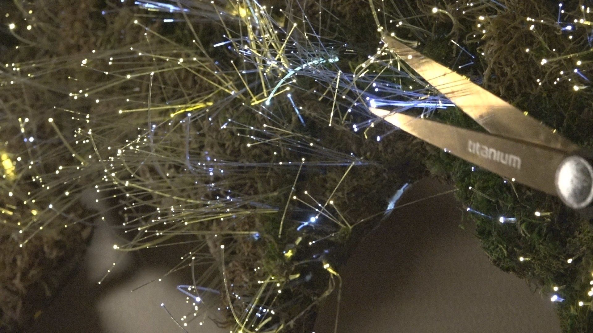 floating-world-moss-map-led-fiber-optics_120.jpg