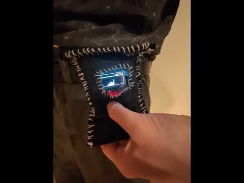 full isopod video