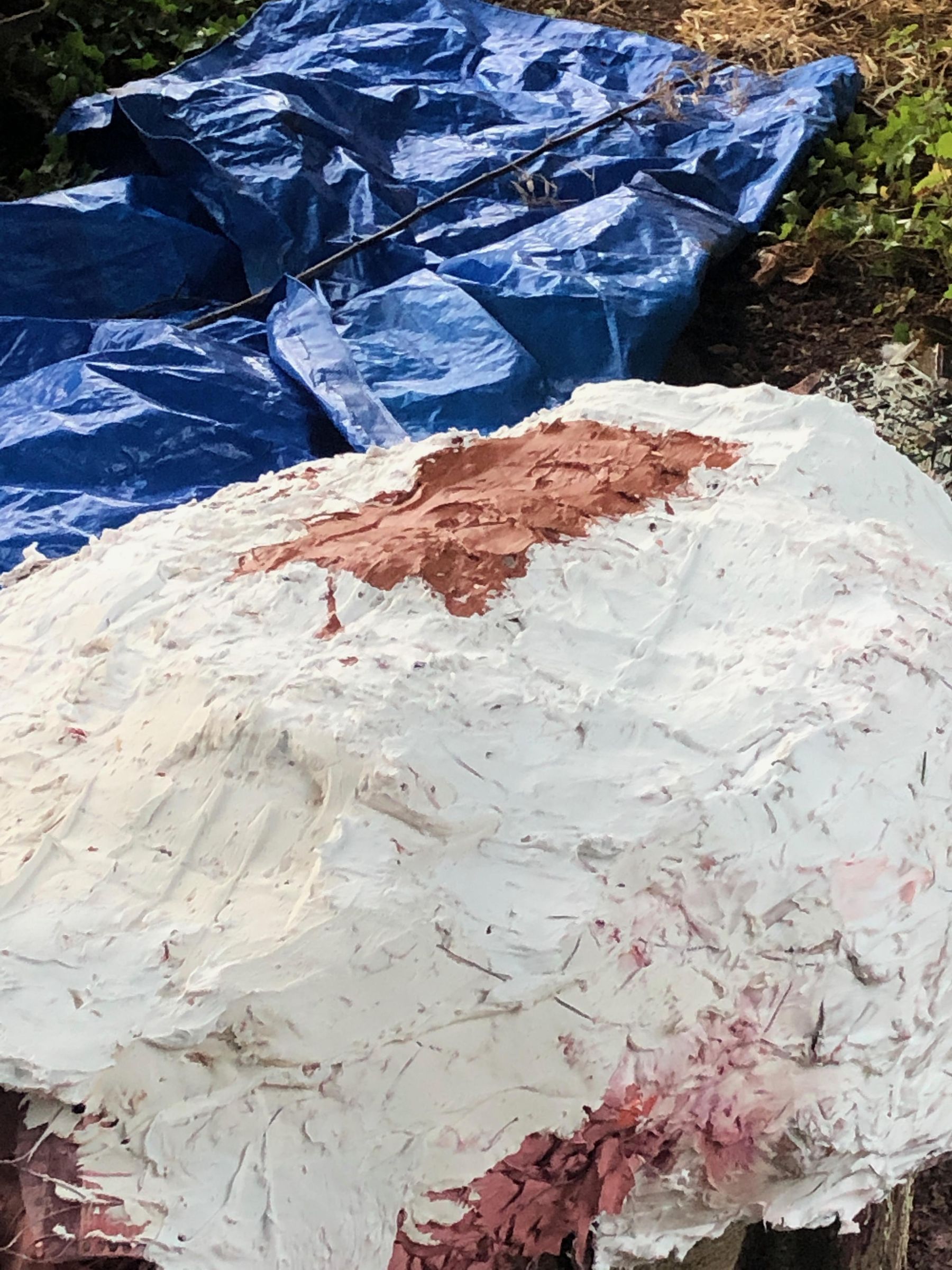gator - step 6 - spackle layer (4).jpeg