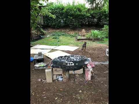 gator time lapse side view