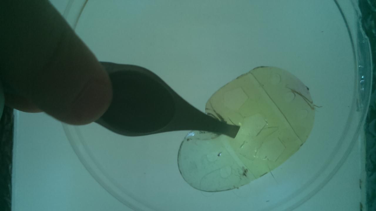 gels1.jpg