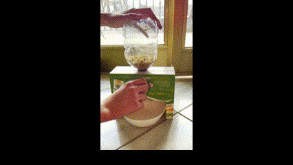 granola2.gif