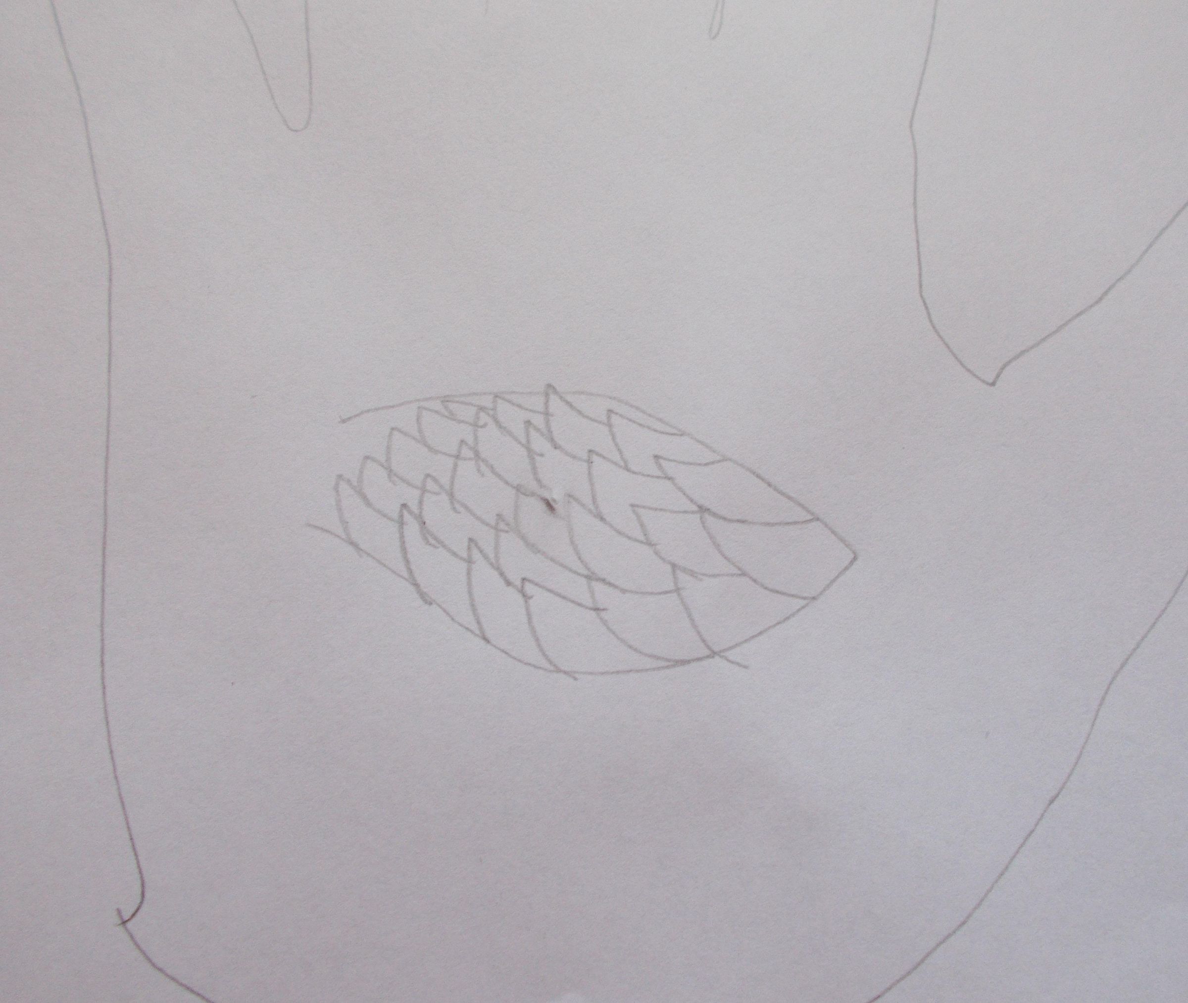hand drawn peacock wings.jpg
