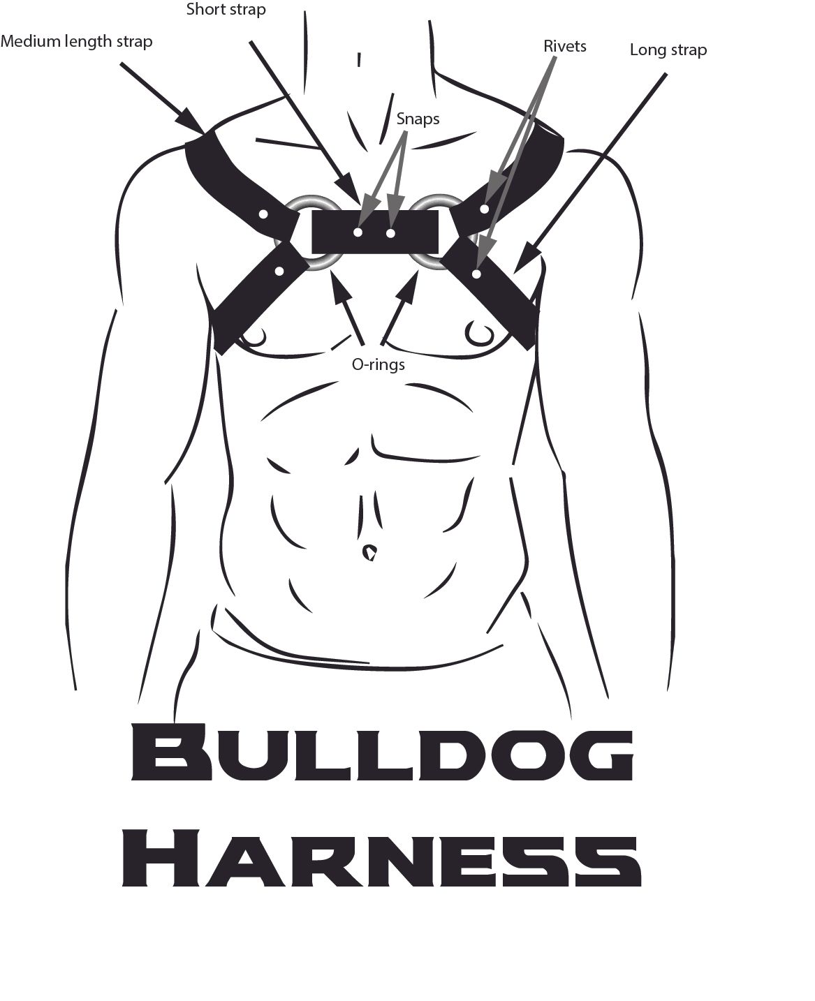 harness diagram.jpg