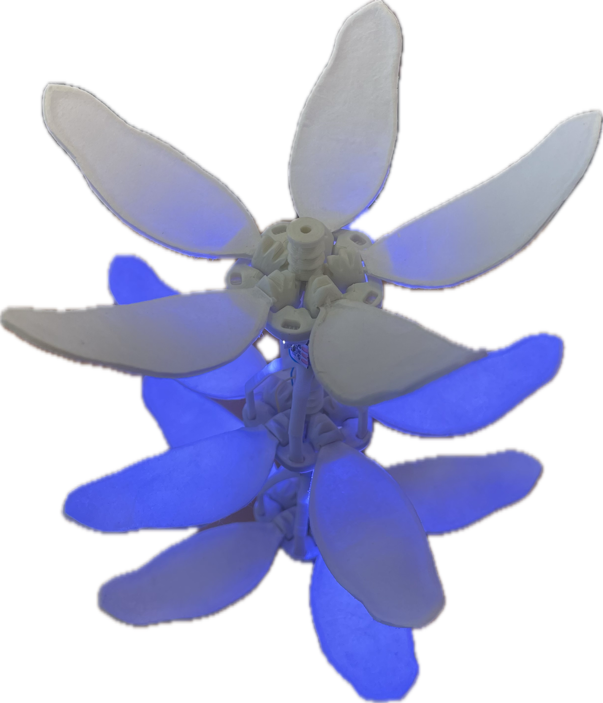 image (1).png