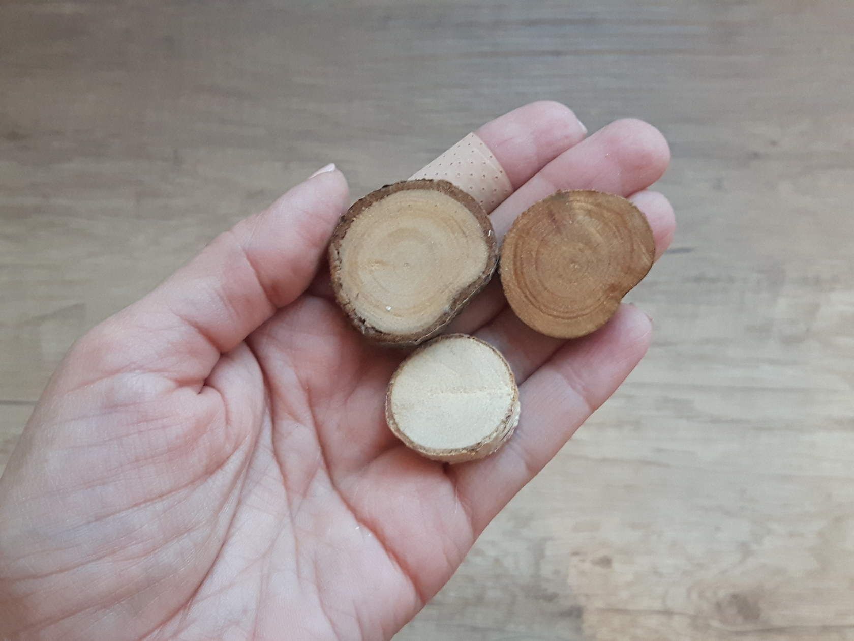 image (2).jpg