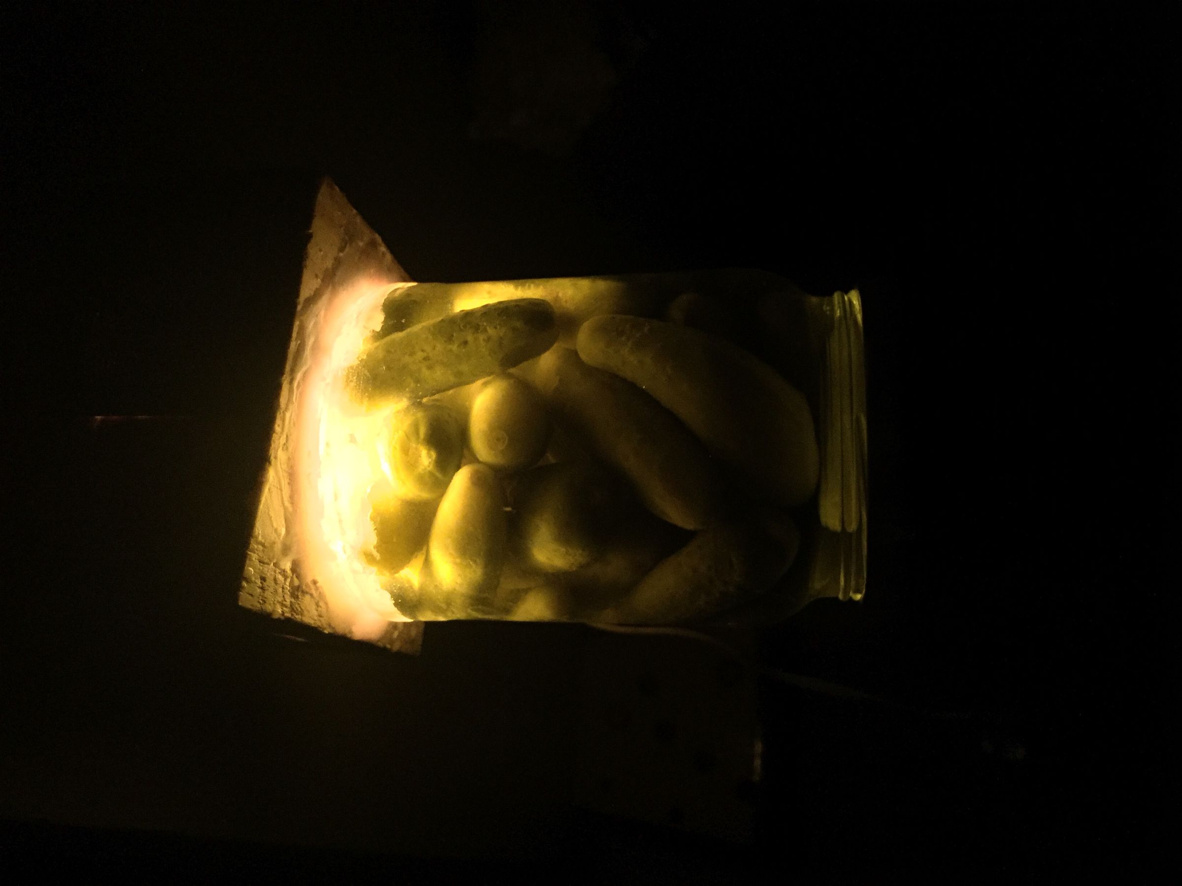 image.jpeg