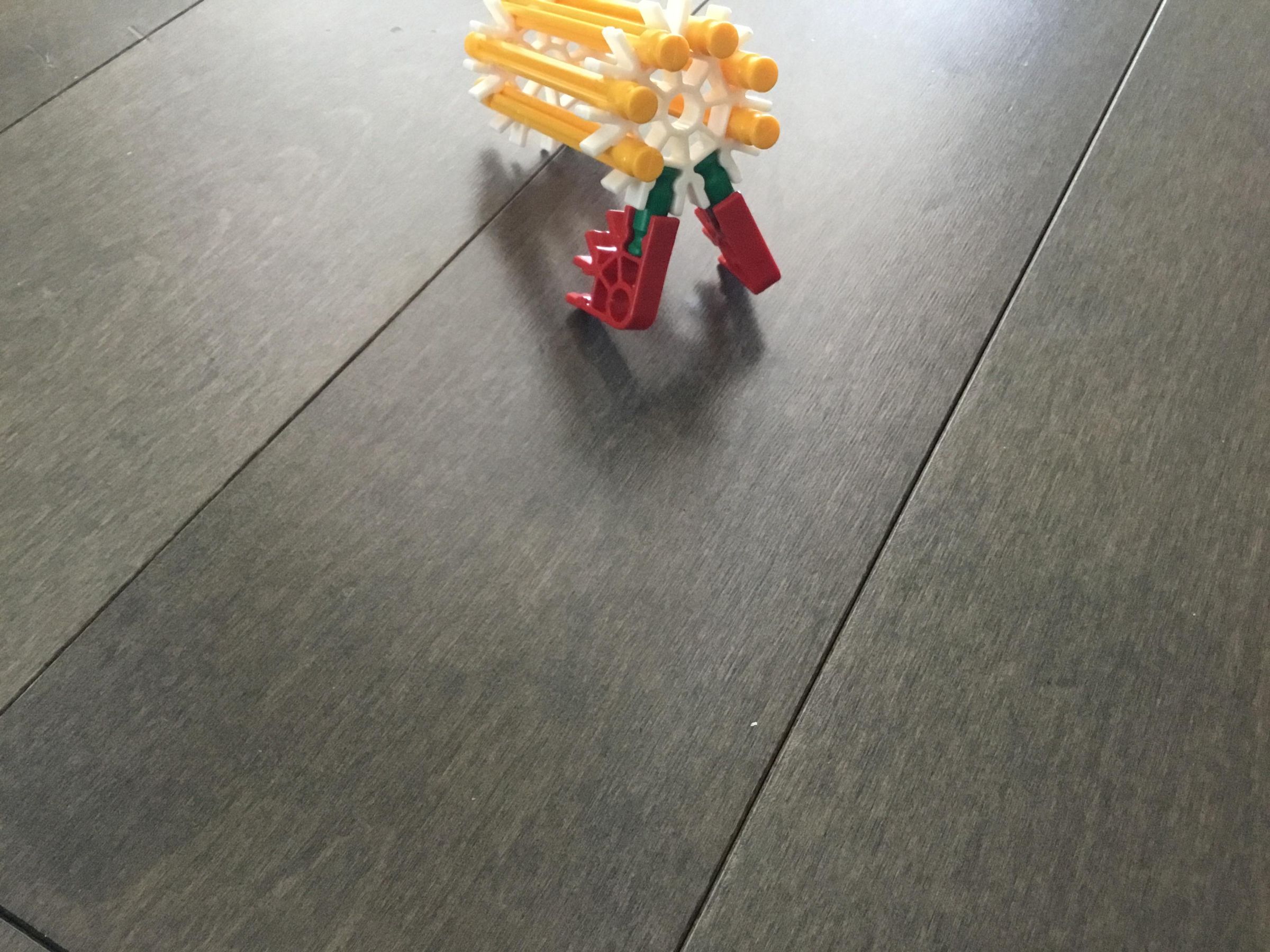 image.jpg
