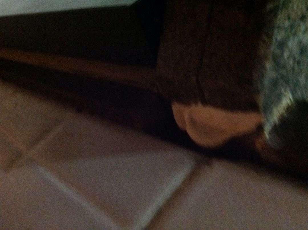image.jpg