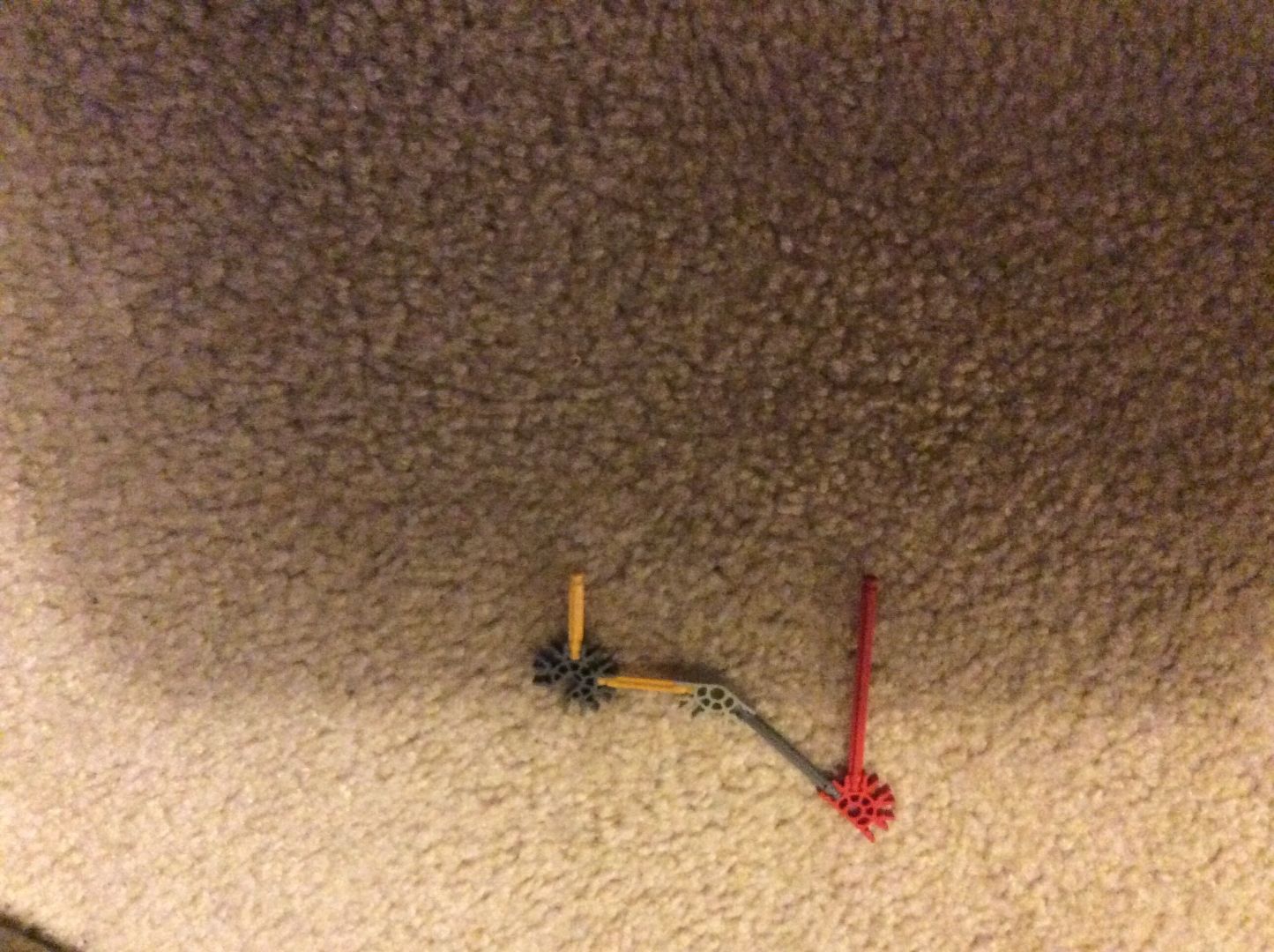 image.jpg