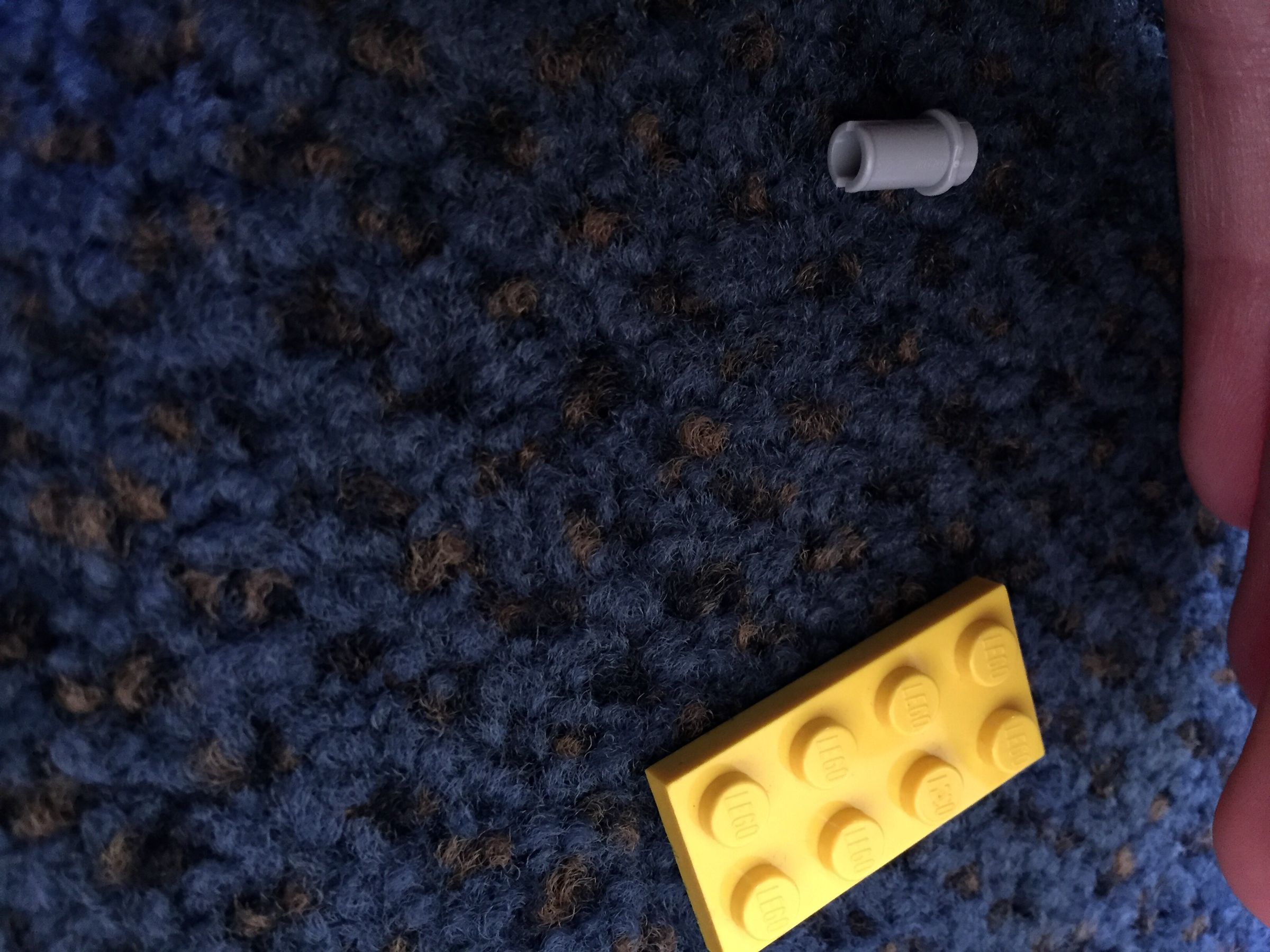 image.jpg