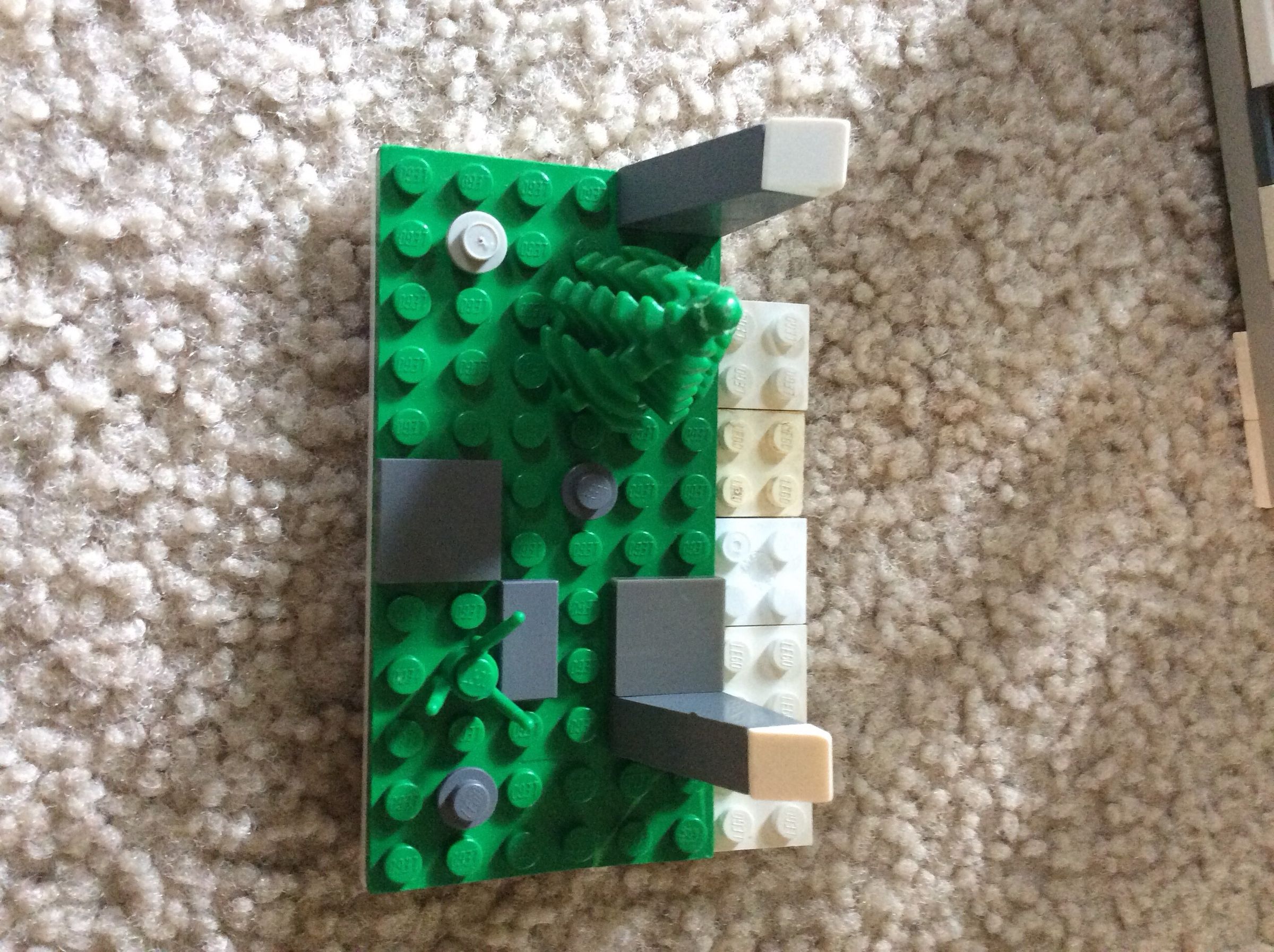 image.jpg