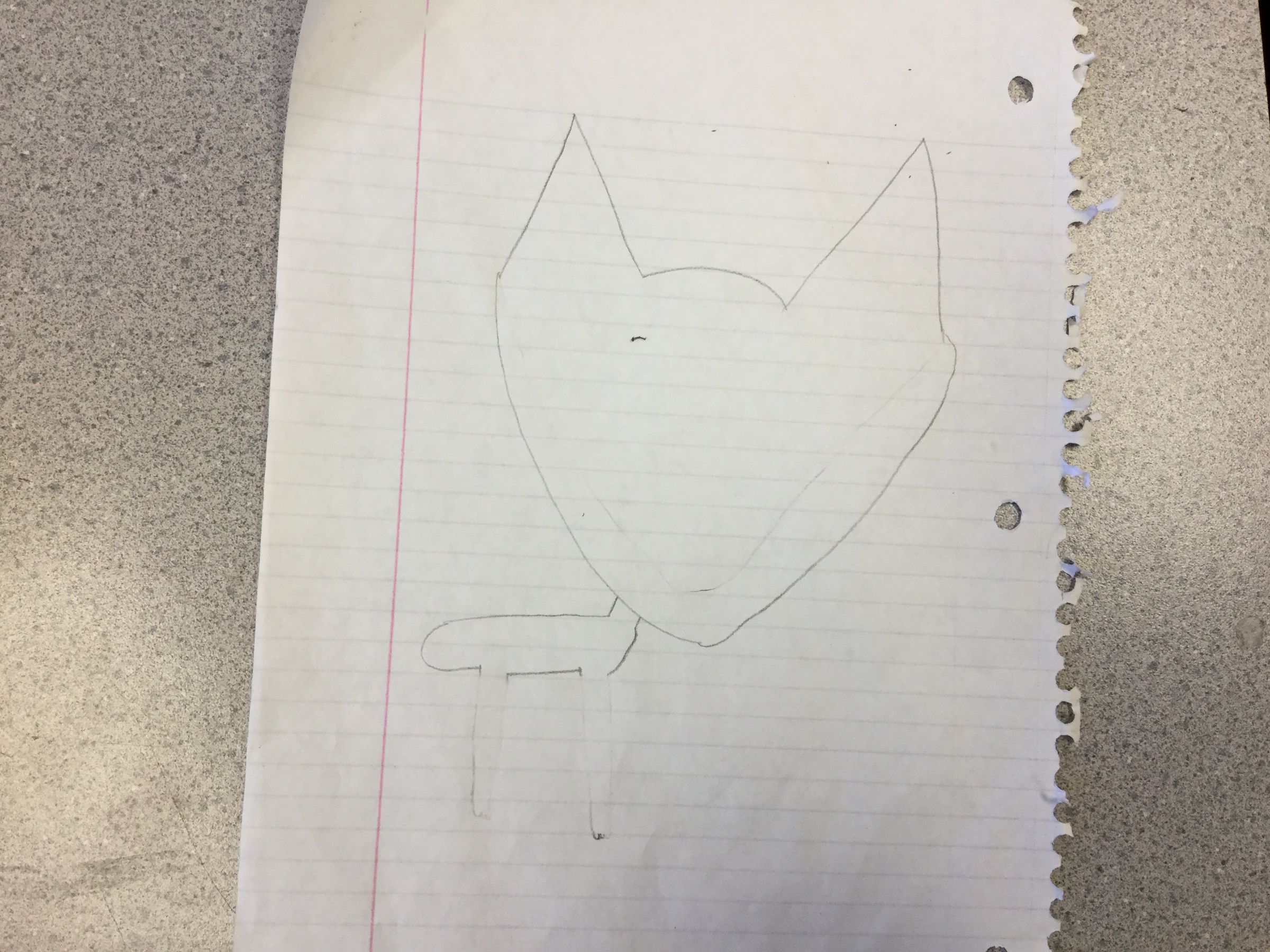 image.jpg