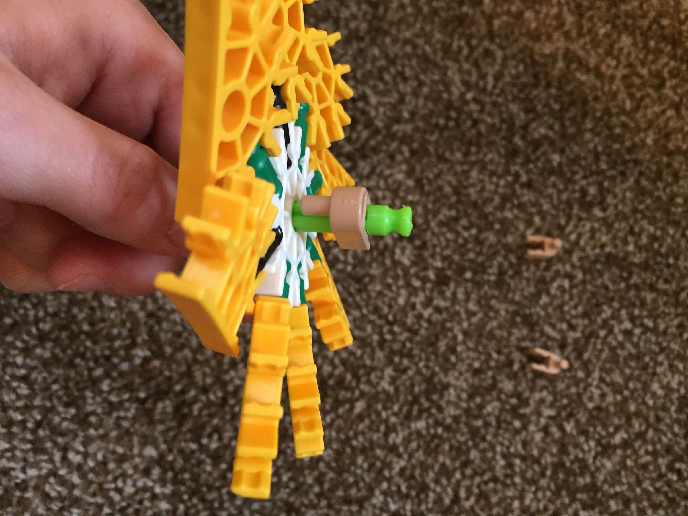 image.jpg