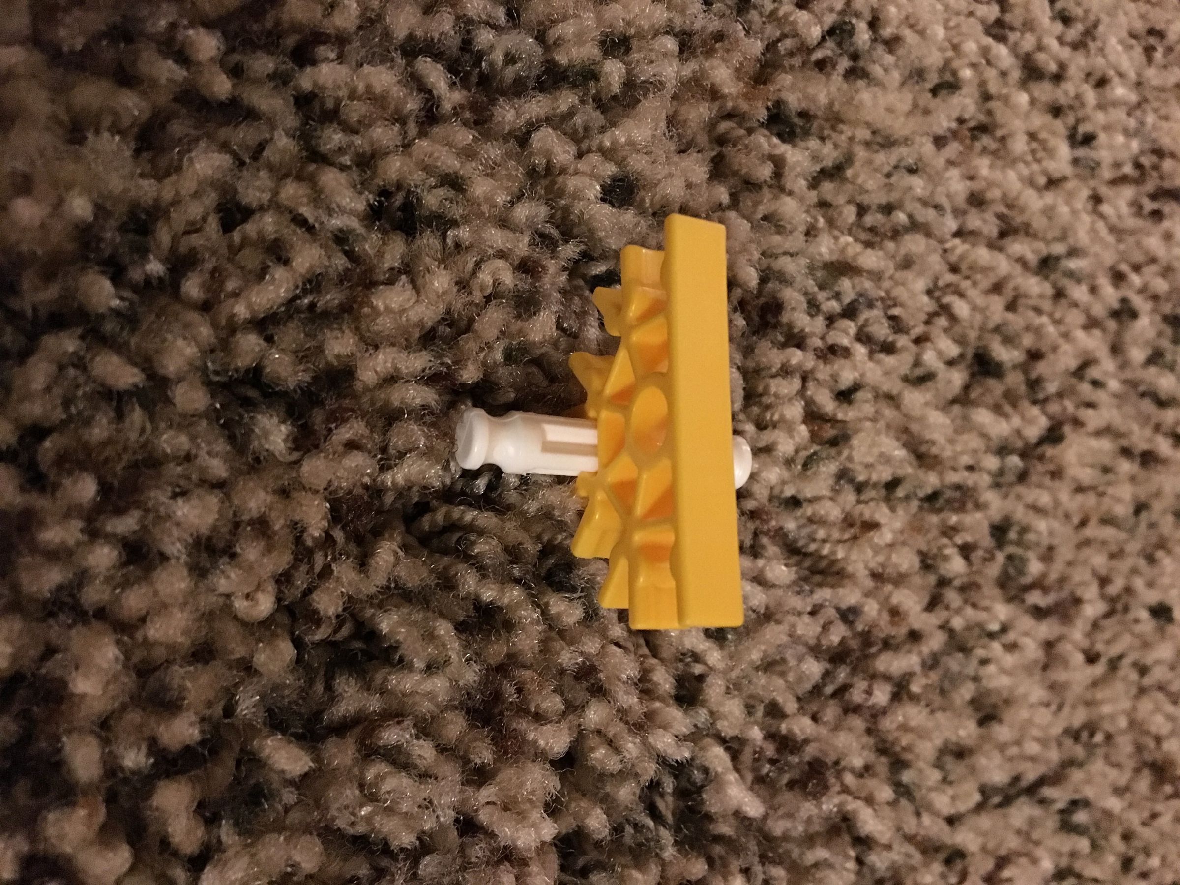image.jpg