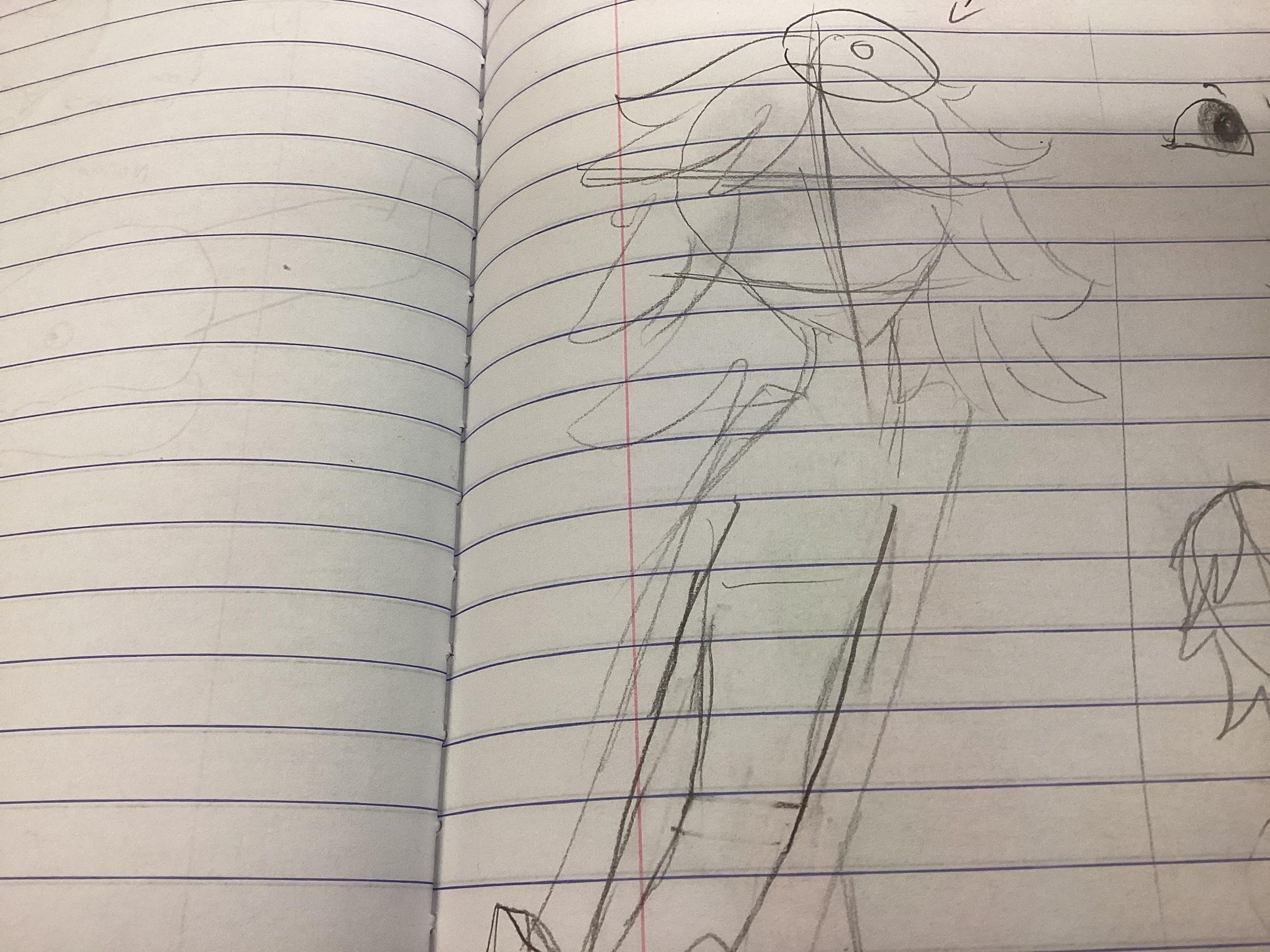 image.jpg