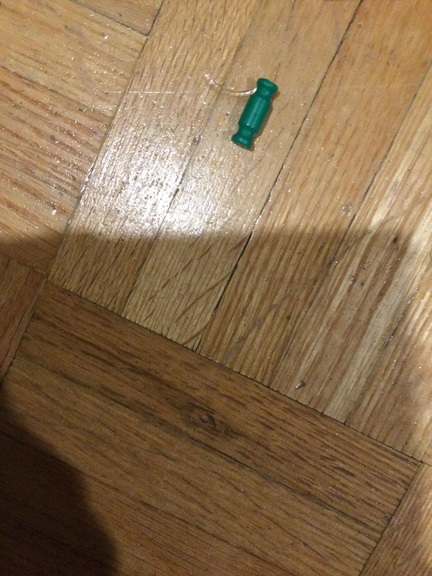 image.jpg