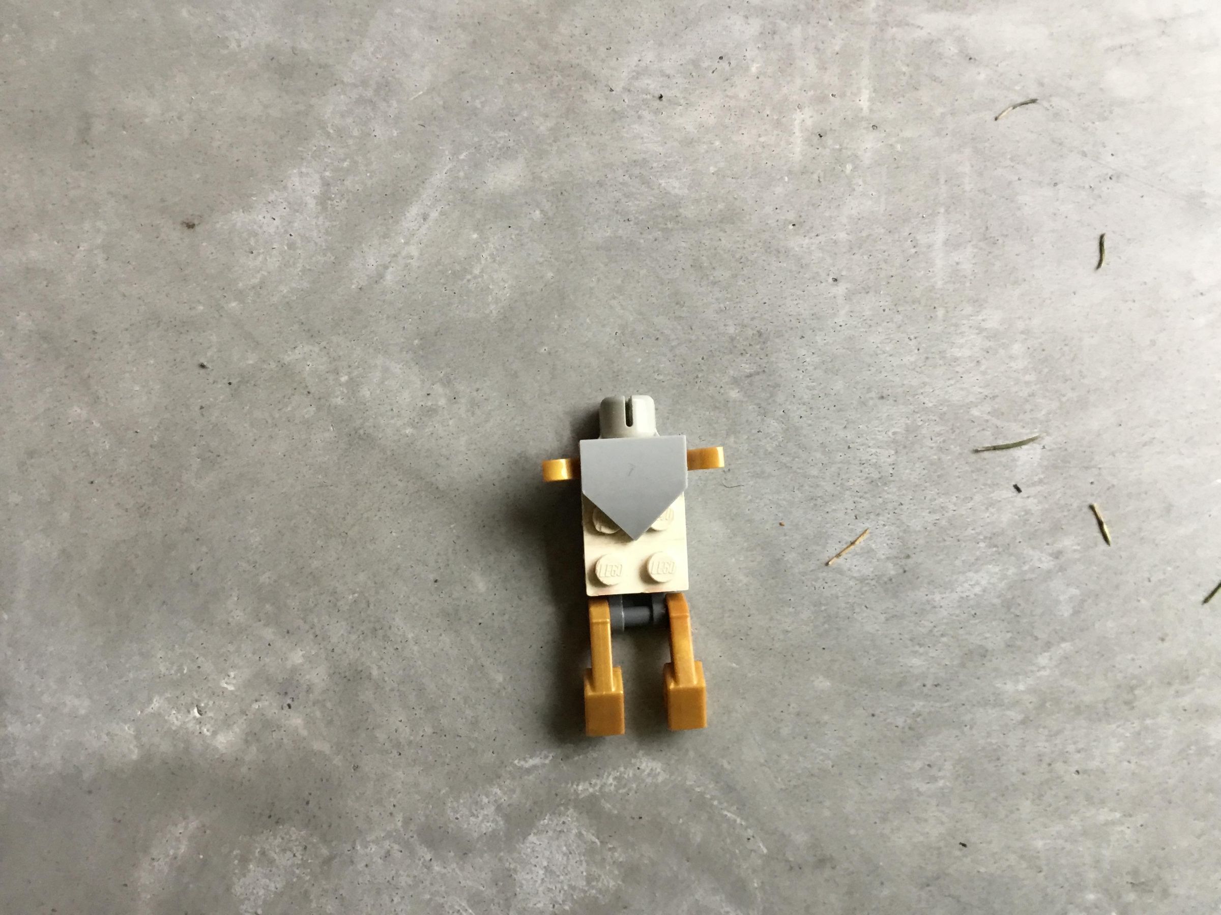image.jpg