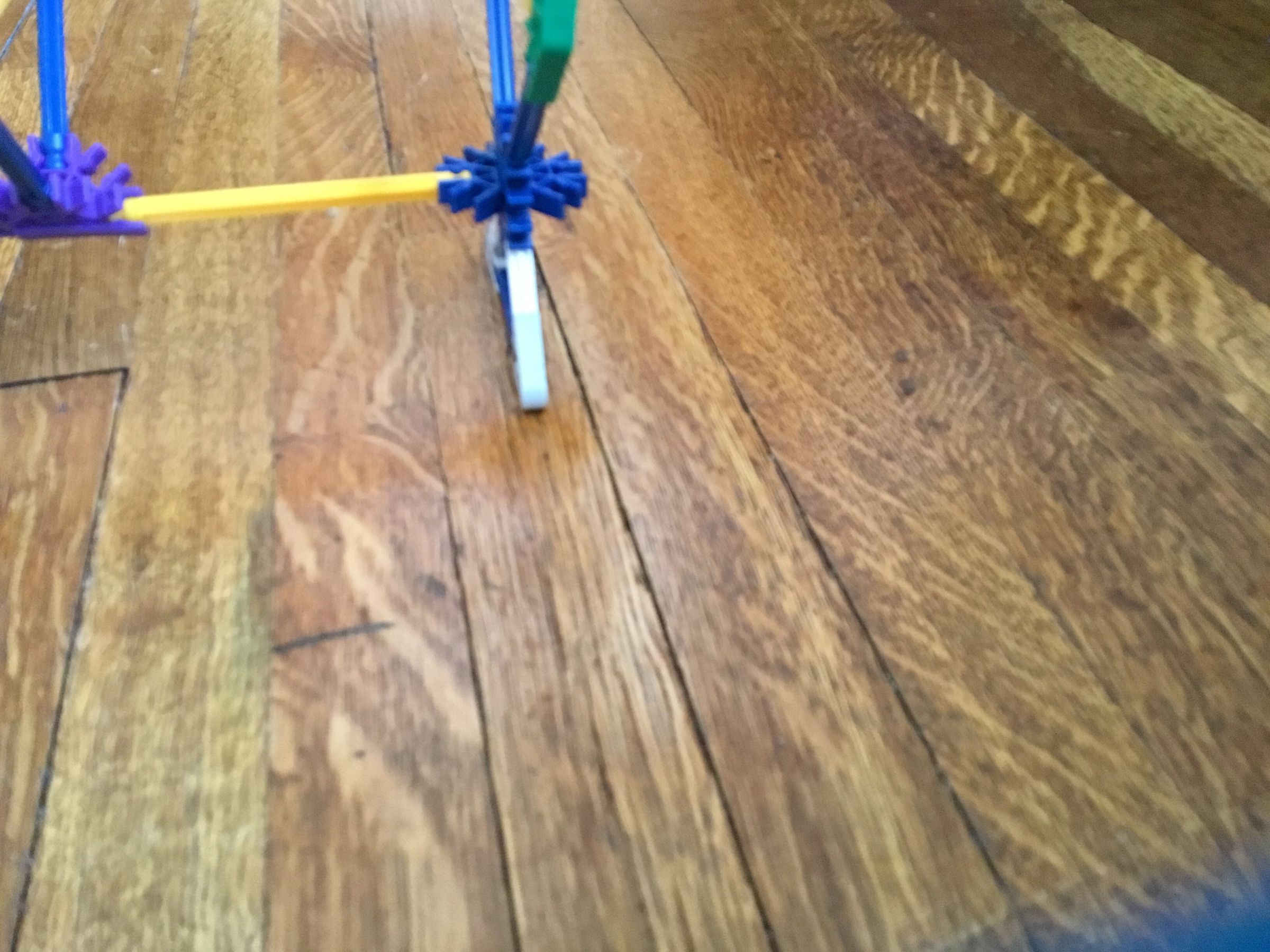 image.jpg