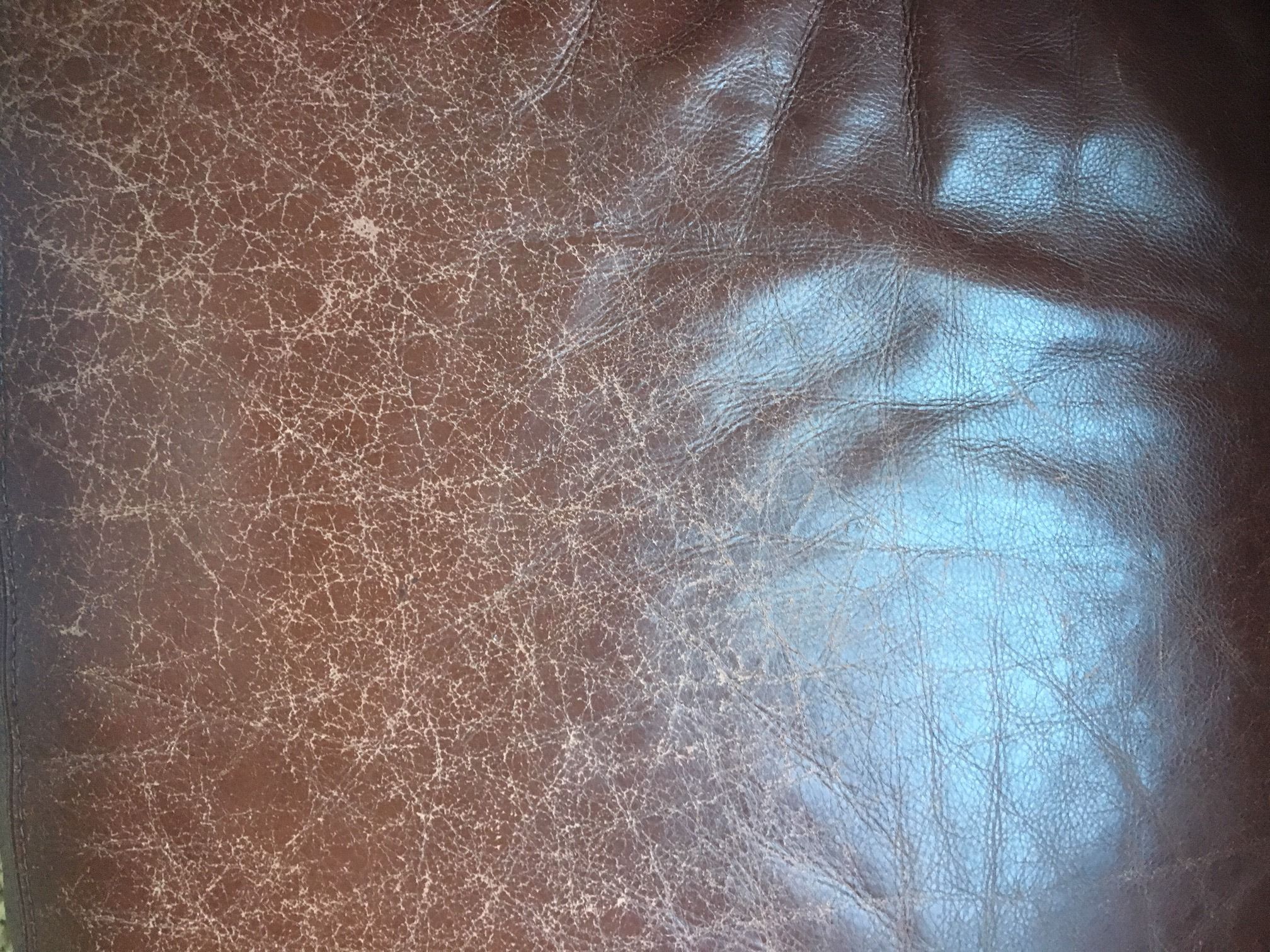 image1.jpeg