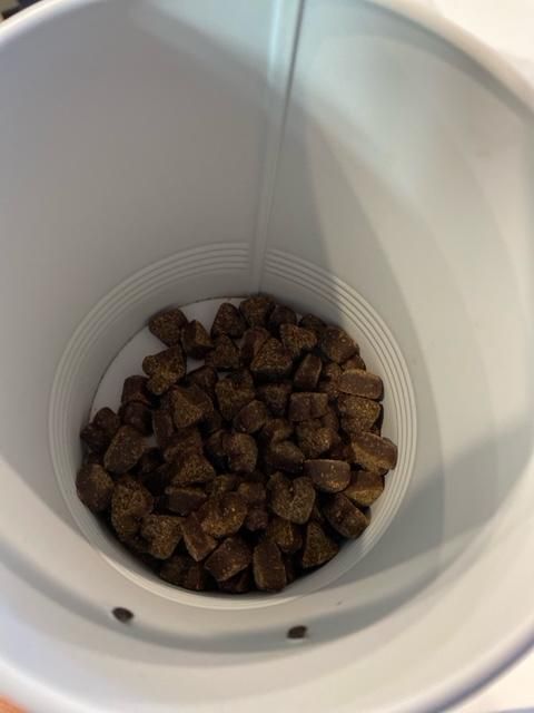 image11 (2).jpeg