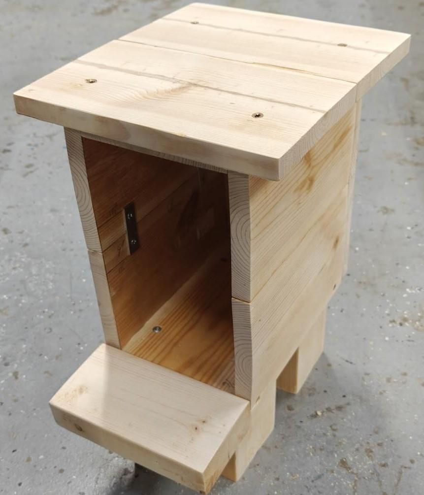image2.jpg