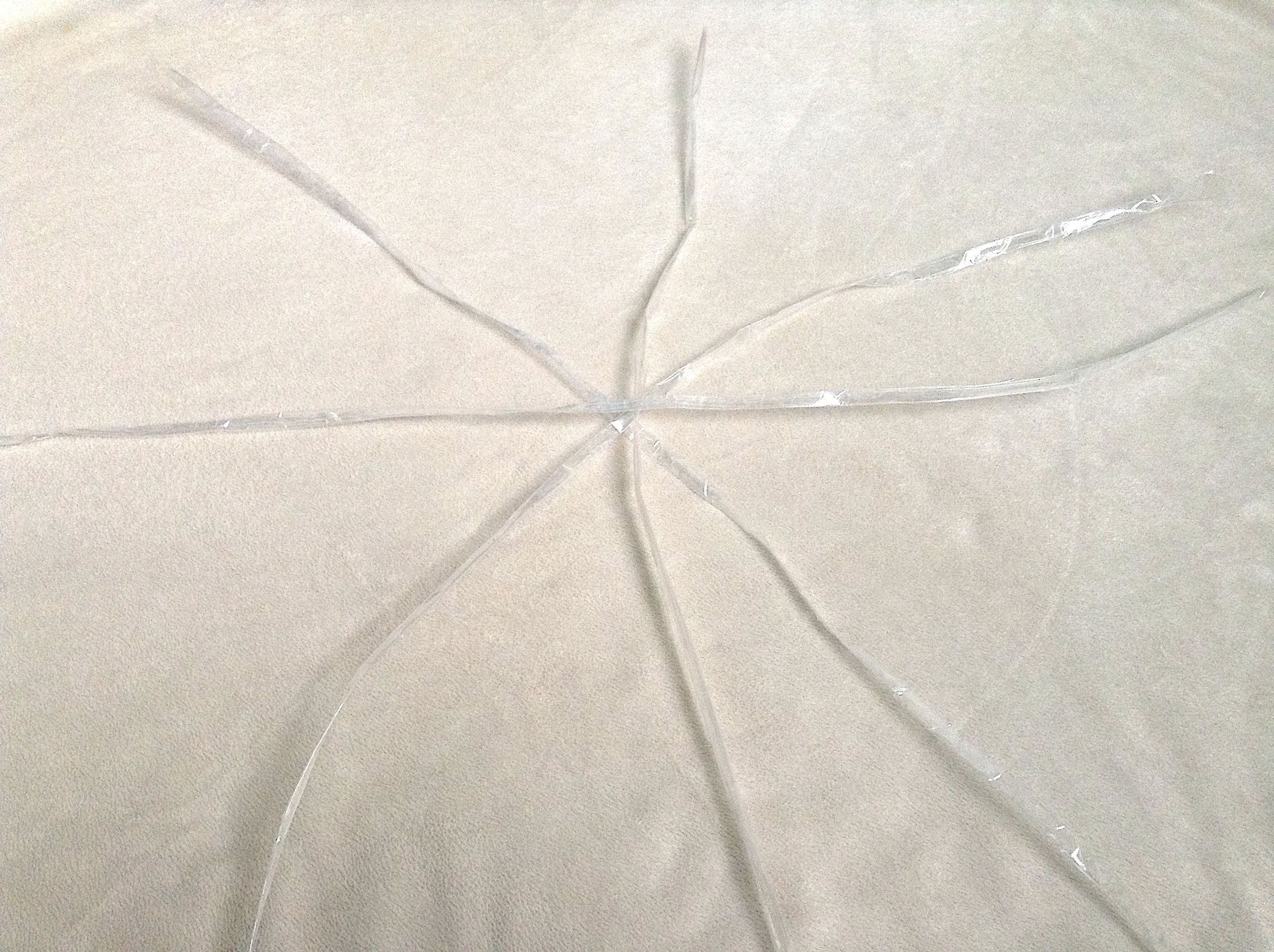 image3 (2).JPG