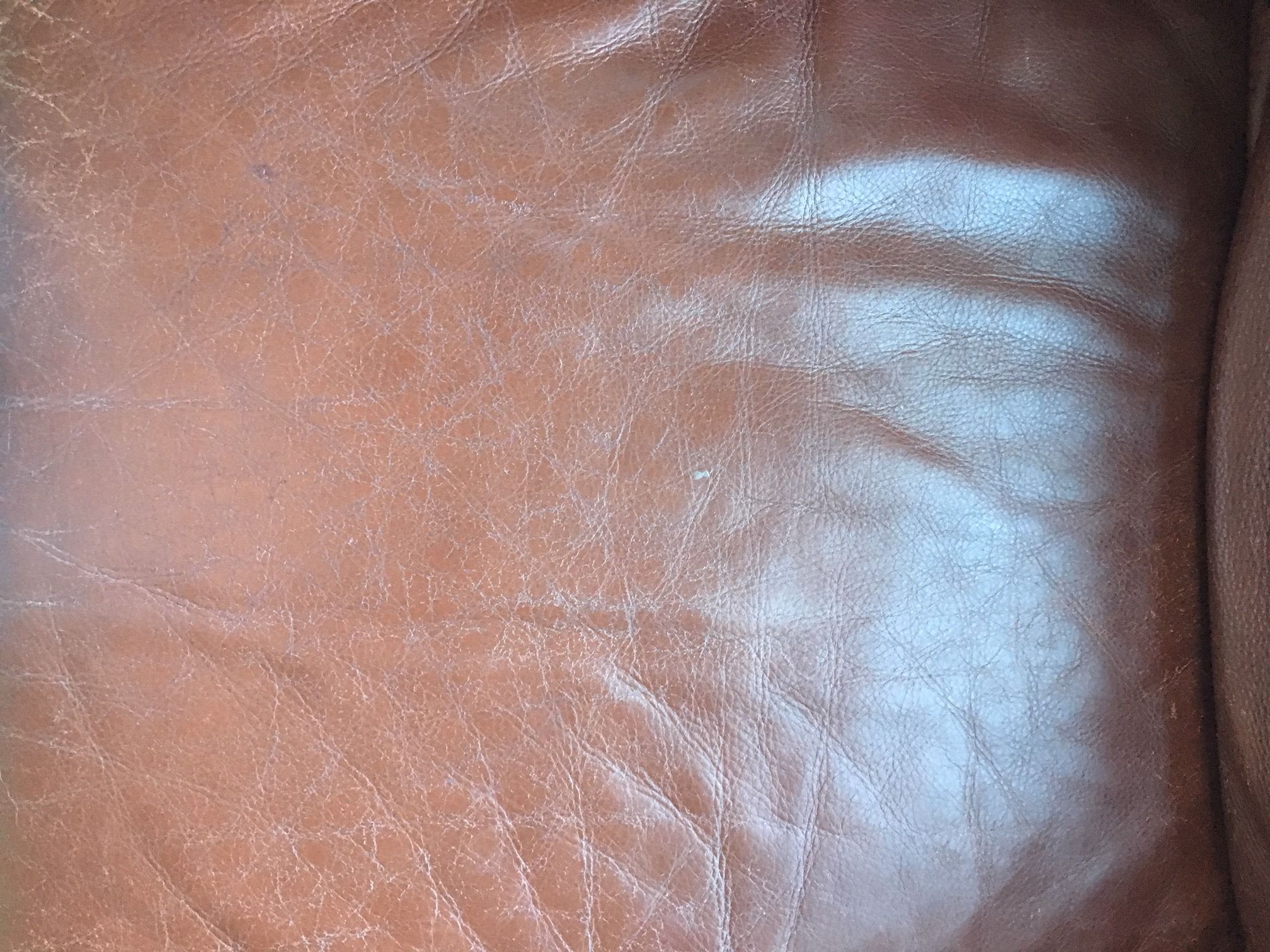 image5.jpeg