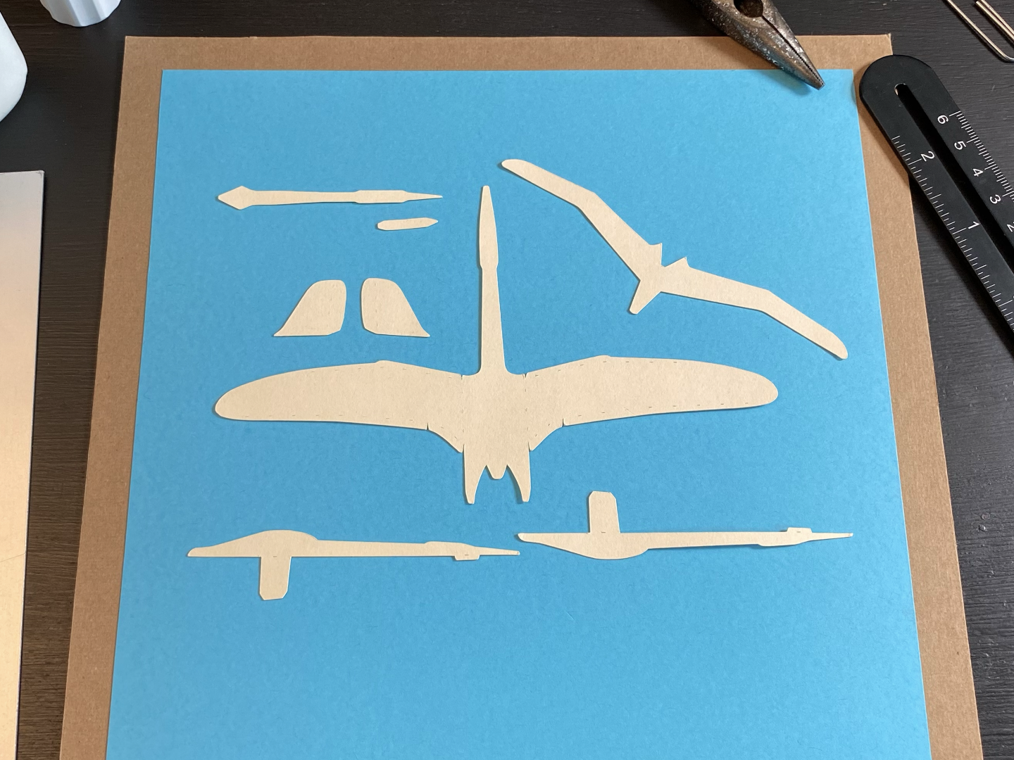 instruct_pterosaur_V_1.png