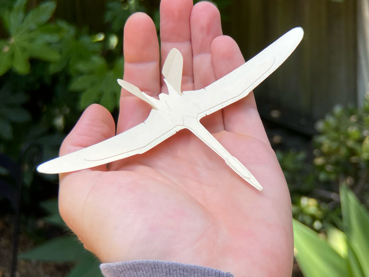 instruct_pterosaur_V_18.png