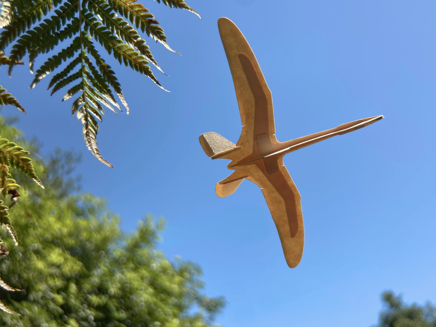 instruct_pterosaur_V_19.png