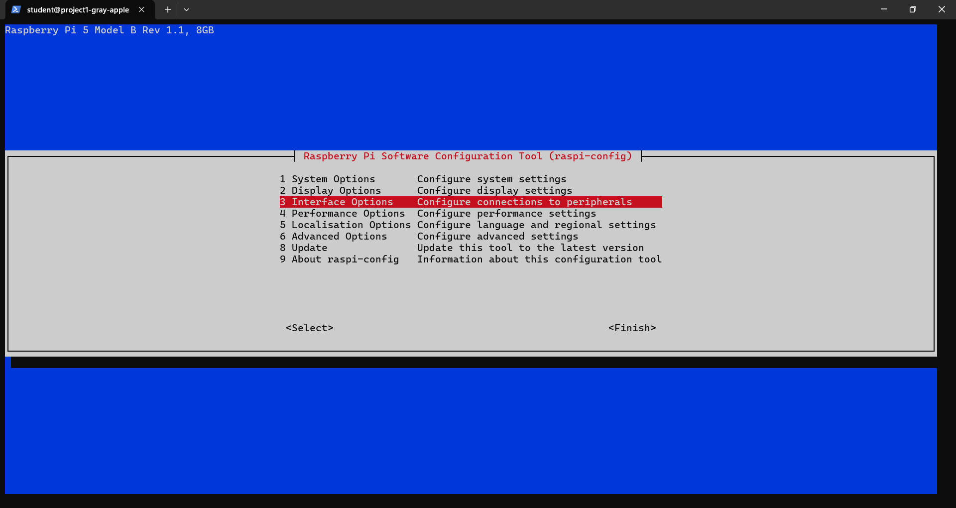 interface_options.png