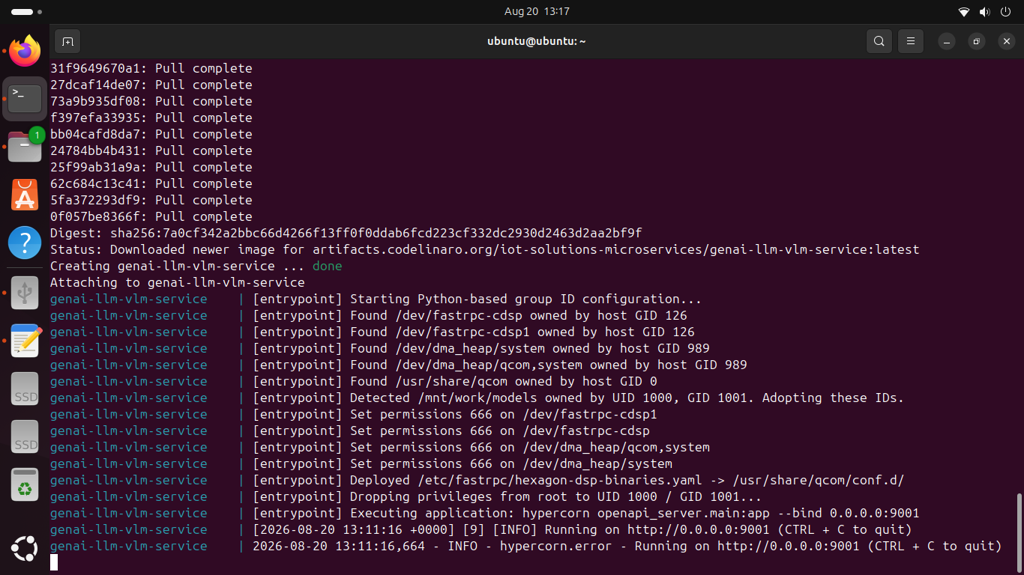 iq9_software_setup_18_qwen_docker_con_run.png